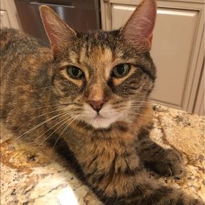 Meet your Posher, Ellie